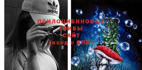 героин Покачи